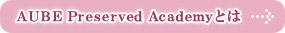 AUBE Preserved Academy�Ƃ�