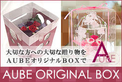 AUBE�̃v���U�[�u�h�t�����[�M�t�g�I���W�i���{�b�N�X