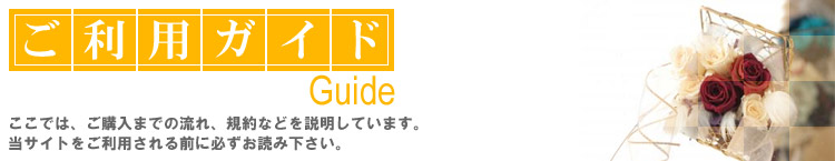 AUBE�̃v���U�[�u�h�t�����[�V���b�s���O�E�����p�K�C�h