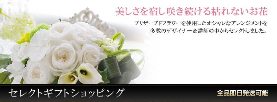 AUBE�̃v���U�[�u�h�t�����[�Z���N�g�M�t�g�V���b�s���O