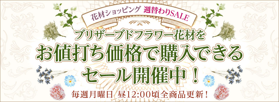 AUBE�̉ԍ� �T�ւ��SALE