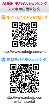 AUBE���o�C���V���b�s���O