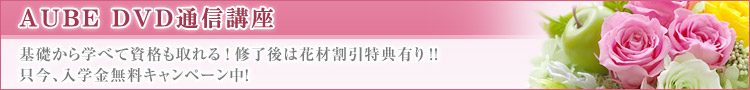 AUBE�̃v���U�[�u�h�t�����[DVD�ʐM�u��