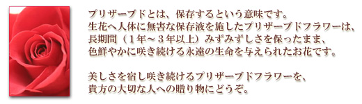 �v���U�[�u�h�Ƃ͕ۑ�����Ƃ����Ӗ��ł��B���Ԃ֐l�̂ɖ��Q�ȕۑ��t���{�����v���U�[�u�h�t�����[�́A�����ԁi�P�N�`�R�N�ȏ�j�݂��݂�������ۂ����܂܁A�F�N�₩�ɍ炫������i���̐�����^����ꂽ���Ԃł��B�i���̔��������h���炫������v���U�[�u�h�t�����[���A�M���̑�؂Ȑl�ւ̑��蕨�ɂǂ����B