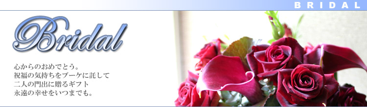 Bridal�F��l�̐V���������A�����ē�l�����̗��j���X�^�[�g������؂ȋL�O���B����ȓ��ʂȓ��ɑ���M�t�g�B�i���̍K�������܂ł��B