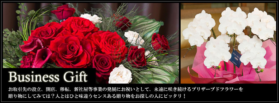 AUBE�̃r�W�l�X�M�t�g