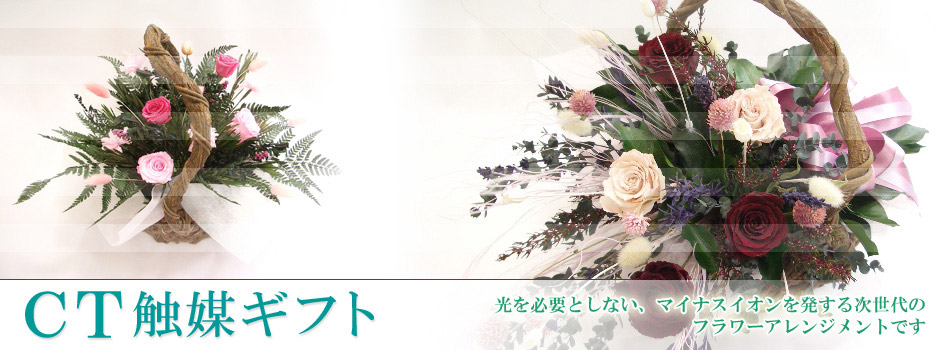 �}�C�i�X�C�I���ŋ�C�����ꂢ�ɂ���AUBE�̃v���U�[�u�h�t�����[�M�t�g