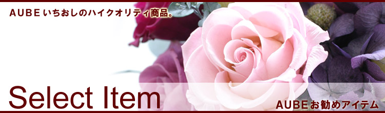 Select Item�FAUBE�I���W�i���u�����h�u�A�C���[�Y�v���琶�܂ꂽ�v���~�A�����i