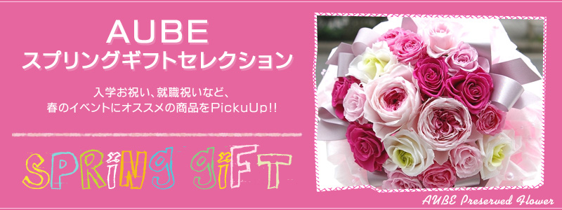 �o�����^�C���f�[�ɑ���AUBE�̃v���U�[�u�h�t�����[�M�t�g