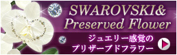 swarovski�y�[�W��