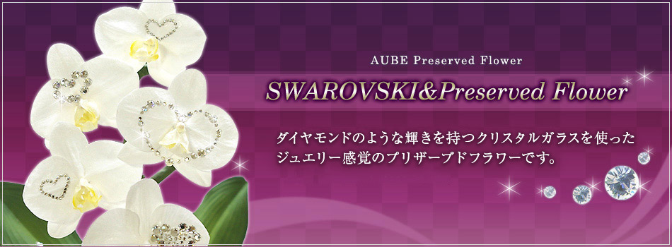 SWAROVSKI���v���U�[�u�h�t�����[